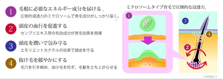 夕方には髪がべたつく という方のハゲるリスクが高い理由 レビュー ボメックは効かない 効果があるのか試してみた